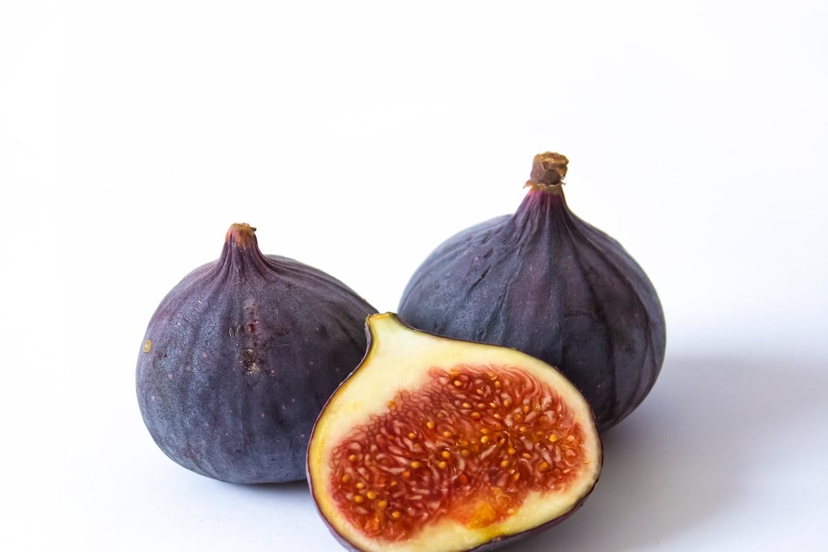 영암 무화과 산지 방문 — 가을의 결실